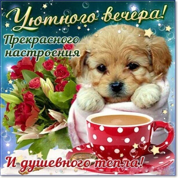 Хорошего вечера и настроения