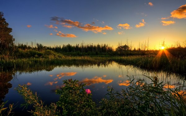 Пейзаж вечер