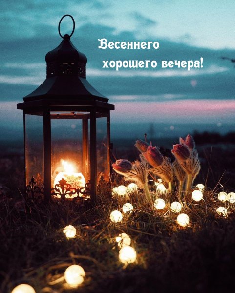 Вечер вечна