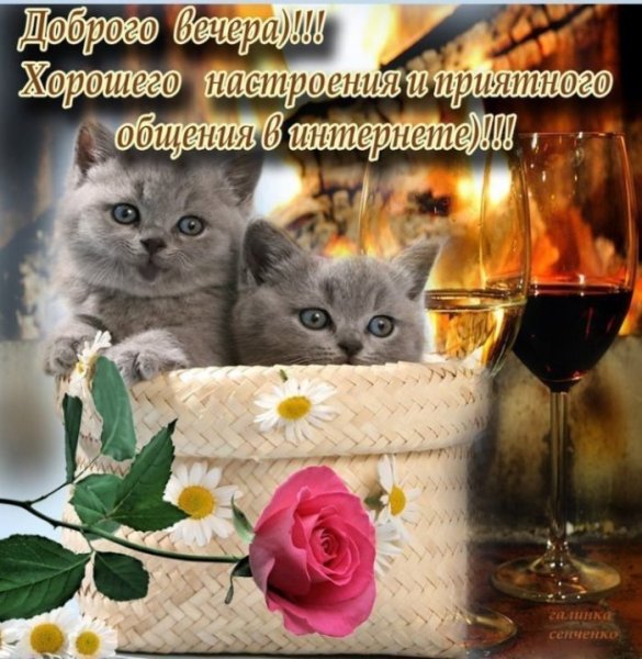 Поздравление с добрым вечером