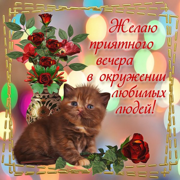 Уютного вечера