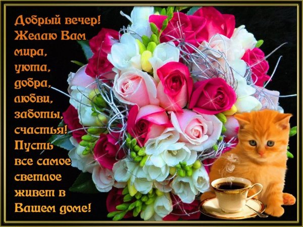 Приятного вечера