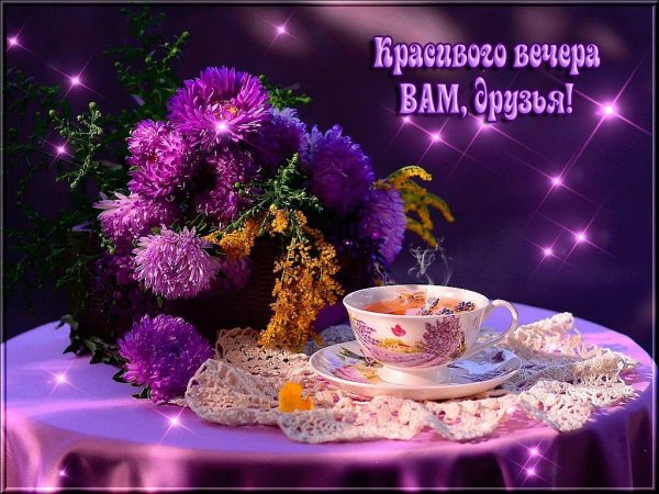 Тткрытка м дтбрыц вечпр