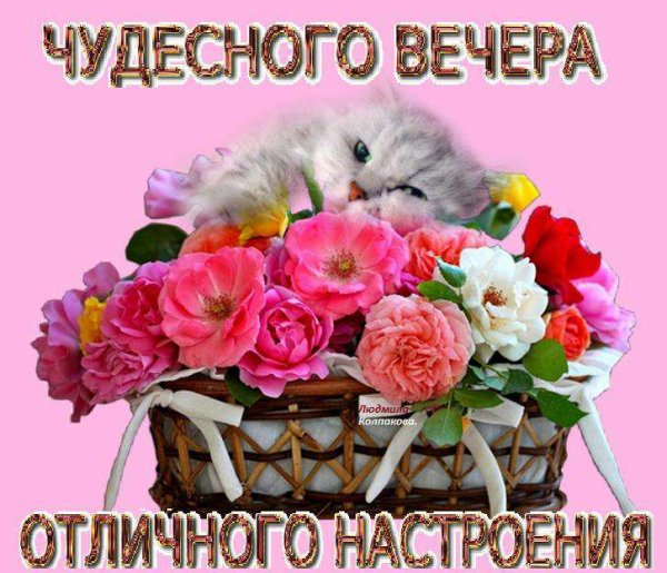 Открытка хорошего вечера и настроения
