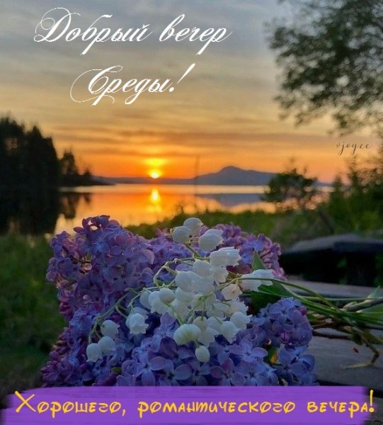 Добрый вечер среды