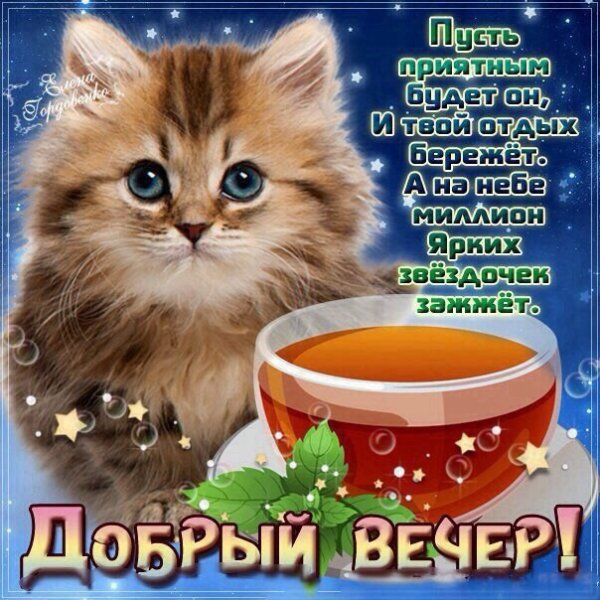 Прикольные пожелания доброго вечера