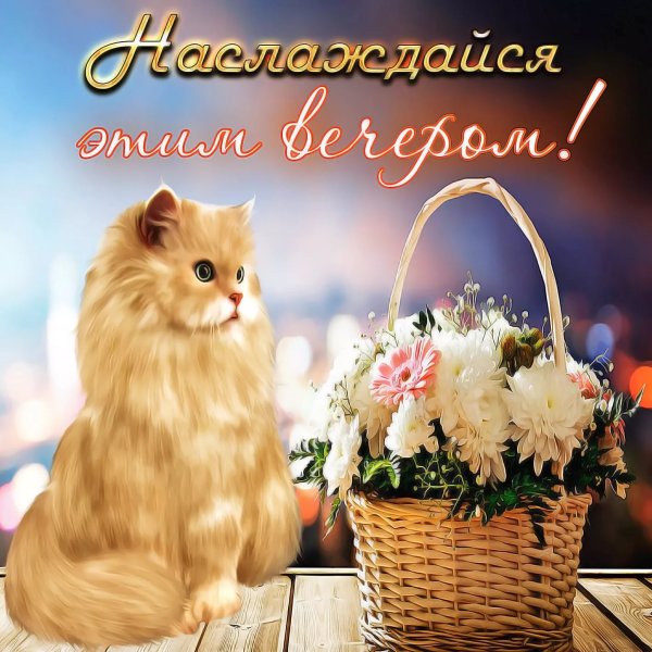 Хороший вечер
