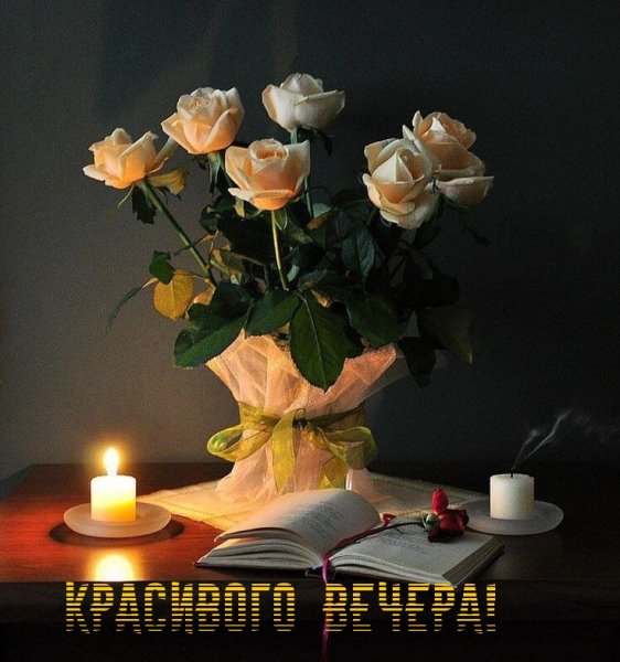 Отличного вечера