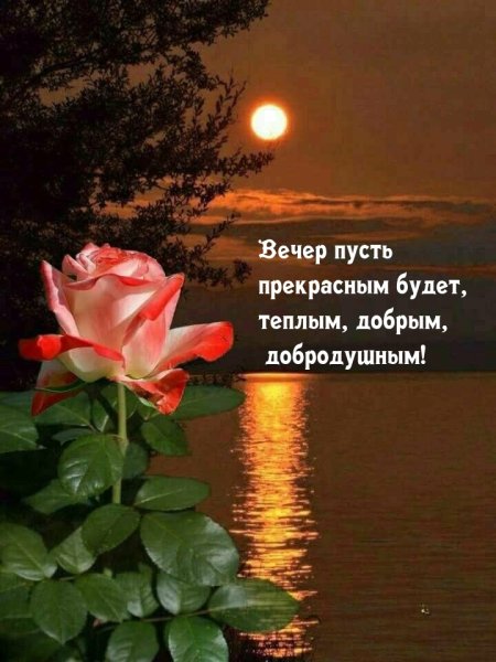 Удивительного вечера