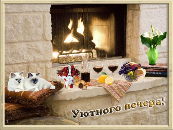 Тёплого уютного вечера