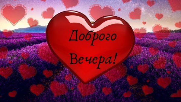 Добрый вечер любимая