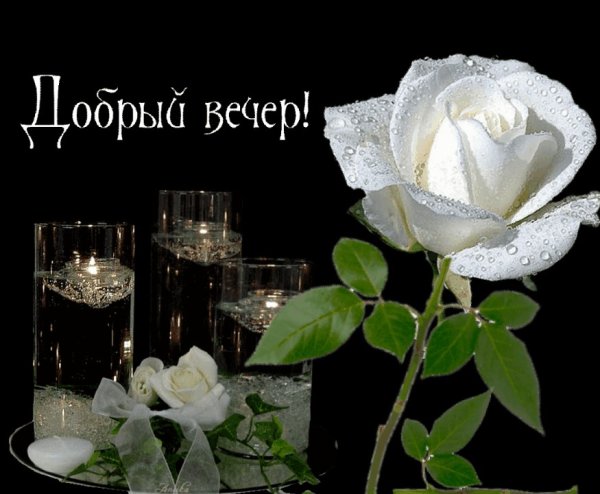 Добрый вечер милая
