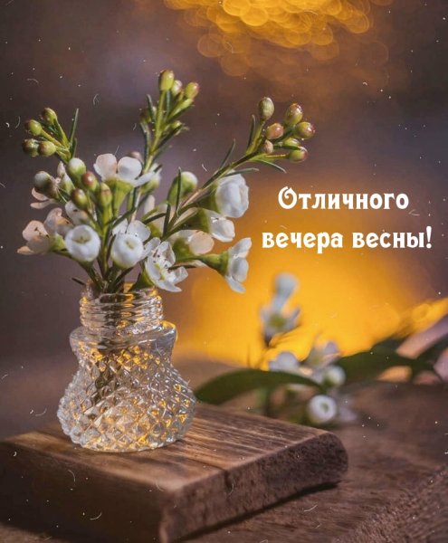 Вечерний натюрморт