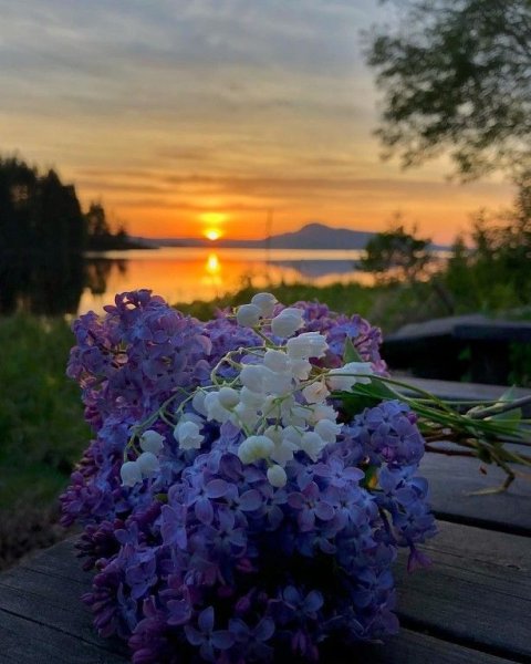 Прекрасного весеннего вечера