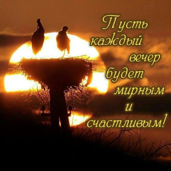 Доброго мирного вечера