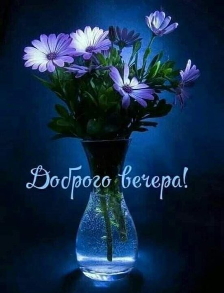 Мирного вечера картинки
