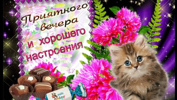 Хорошего вечера и настроения
