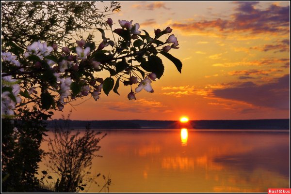 Весенний вечер в городе