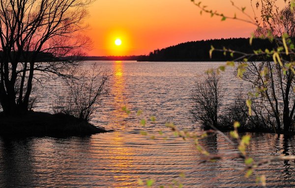 Сумерки природа