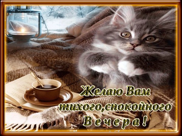 Тихого спокойного вечера
