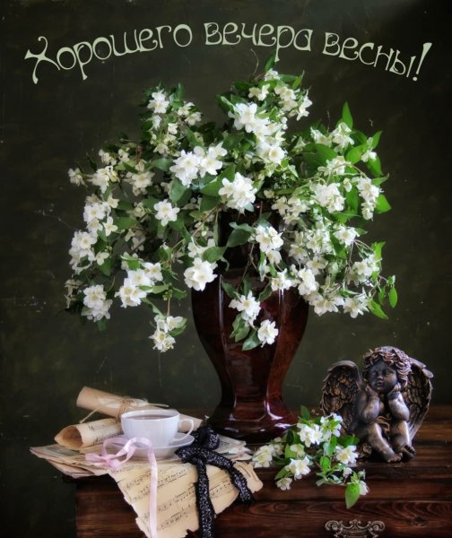 Доброго веченнего Вечерка