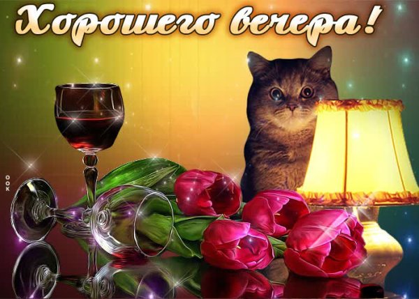 Хорошего вечера котики