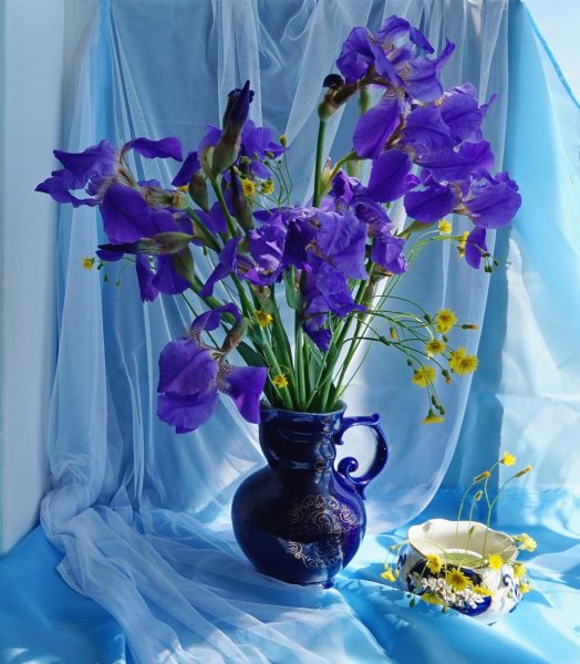 Художница Danka Weitzen