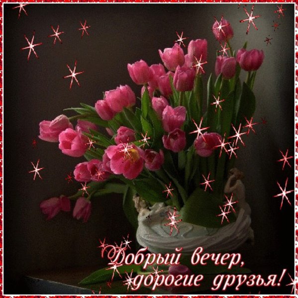 Добрый вечер