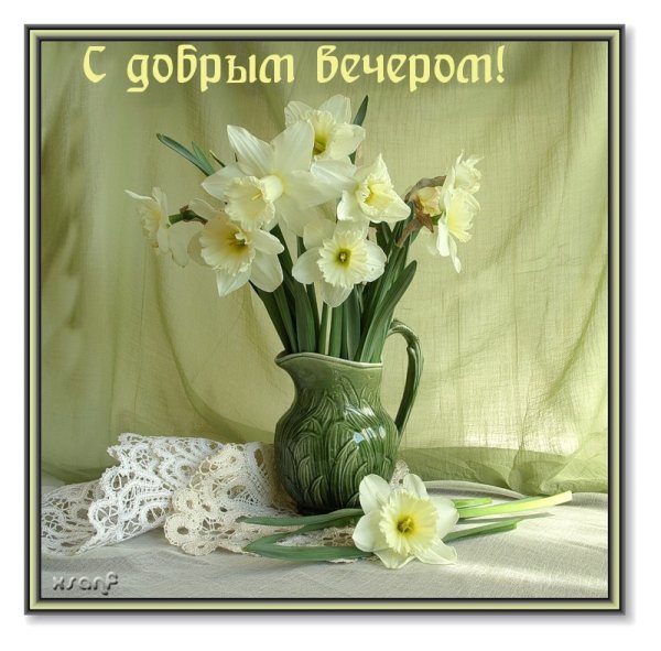 Нарциссы в вазе