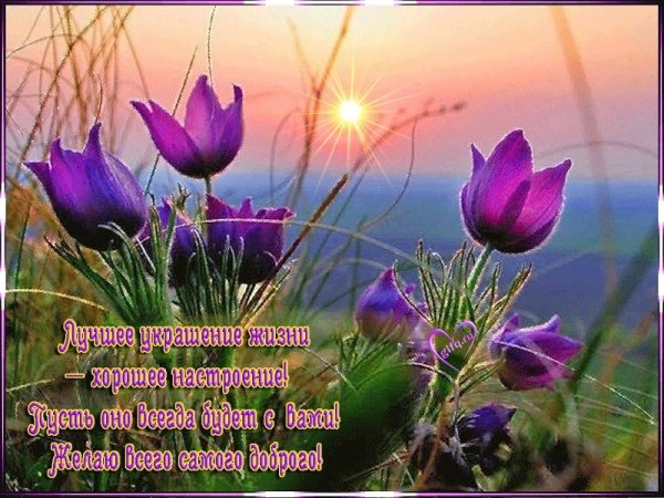 Доброго весеннего вечера природа