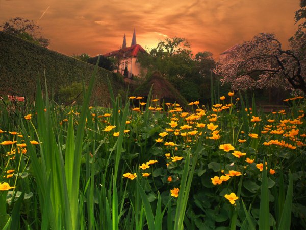 Весна вечер