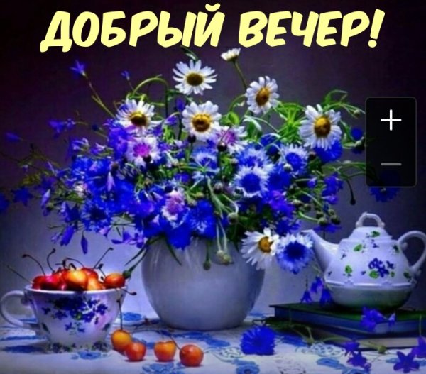 Добрый вечер васильки с пожеланиями