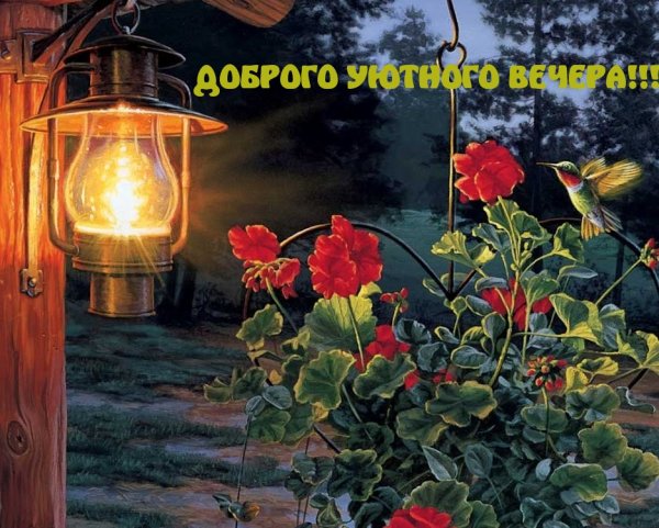 Доброго летнего вечера