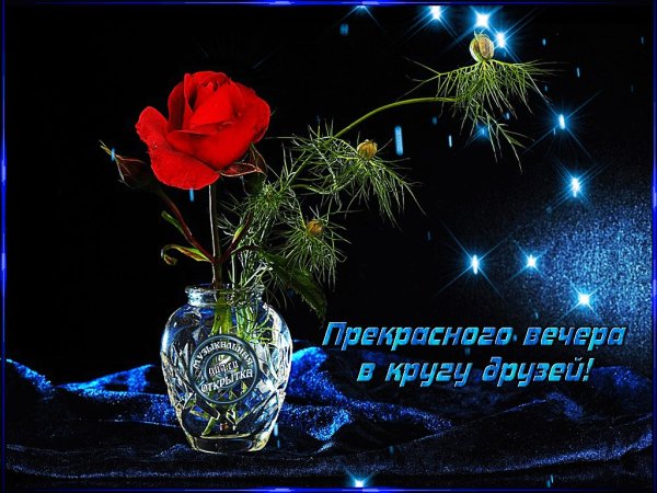 Добрый вечер друзья