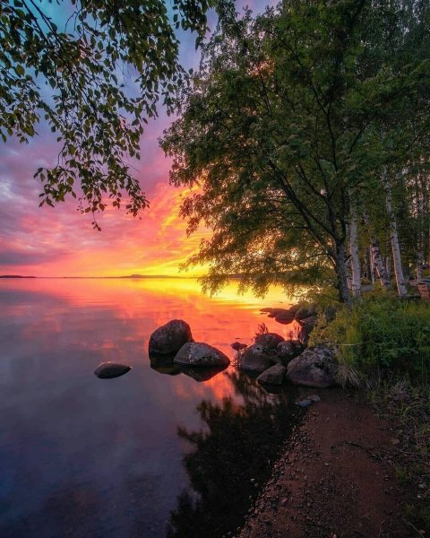 Удивительная природа