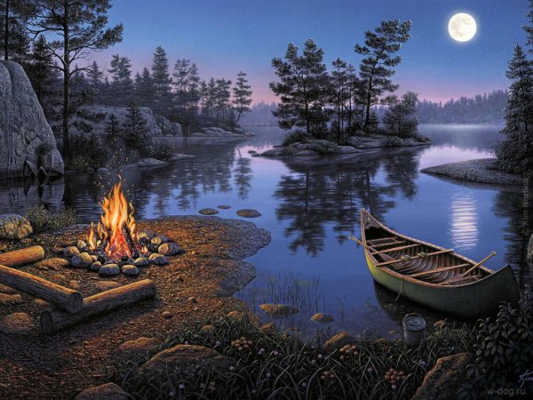 Художник Kim Norlien