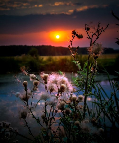 Природа вечер