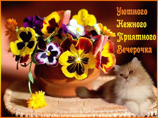 Анимационные открытки добрый вечер