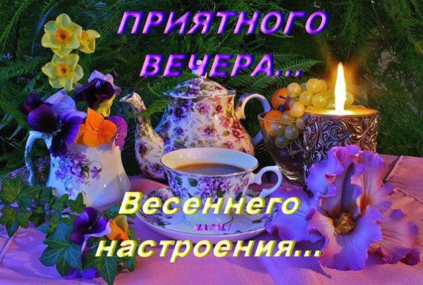 Тёплого весенннго вечера