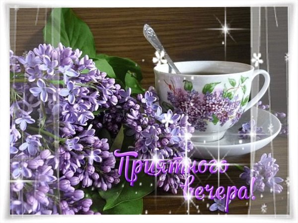 Доброгт морского вечера