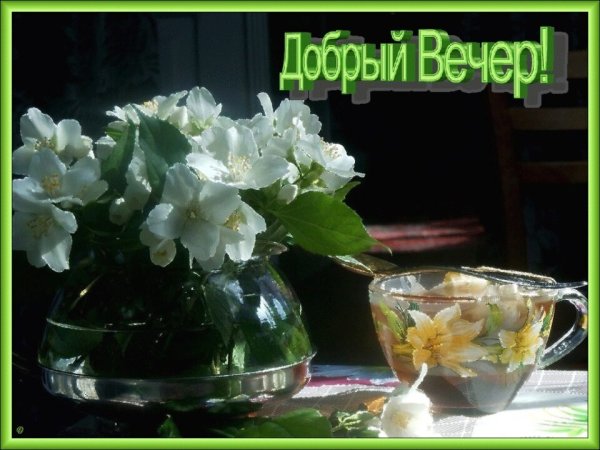Вечер в апреле природа