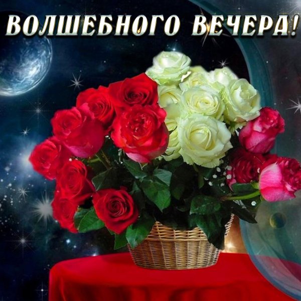 Цветочек хорошего вечера