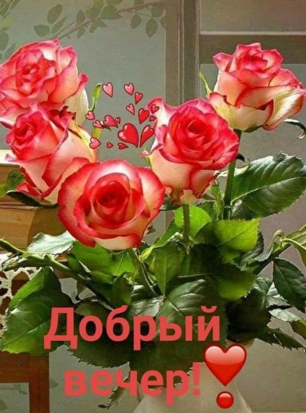 Добрый вечер цветы женщине