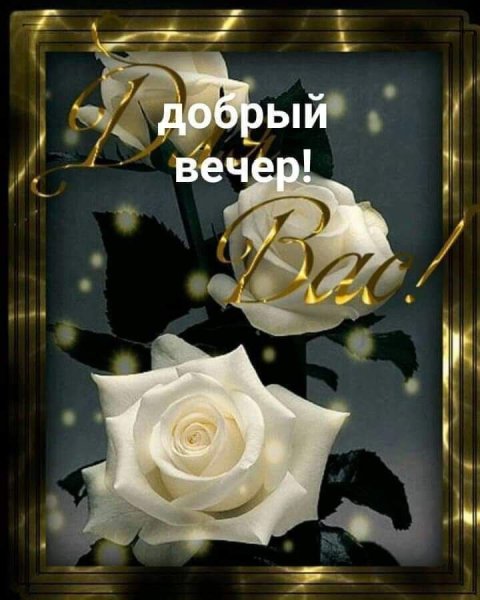 Вечерние цветы для тебя