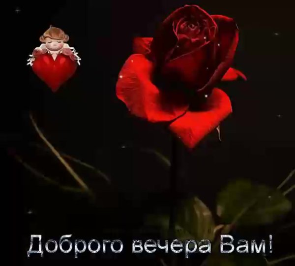 Приятные цветы