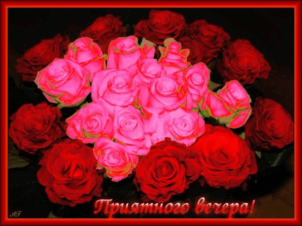 Роза с боку