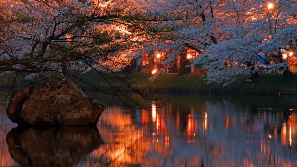 Вечерняя природа