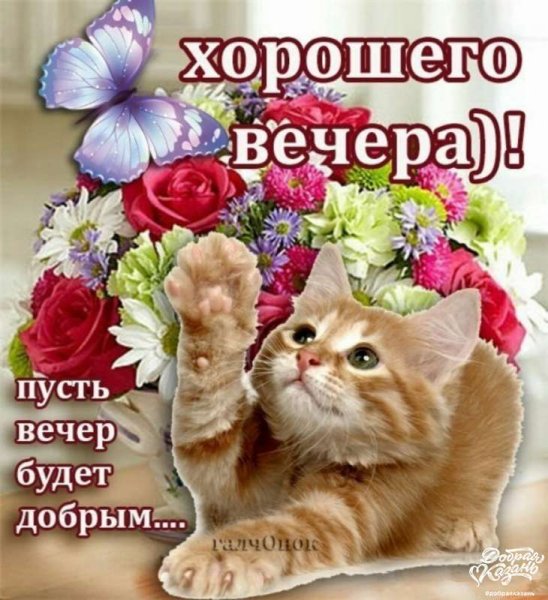 Поздравление с добрым вечером