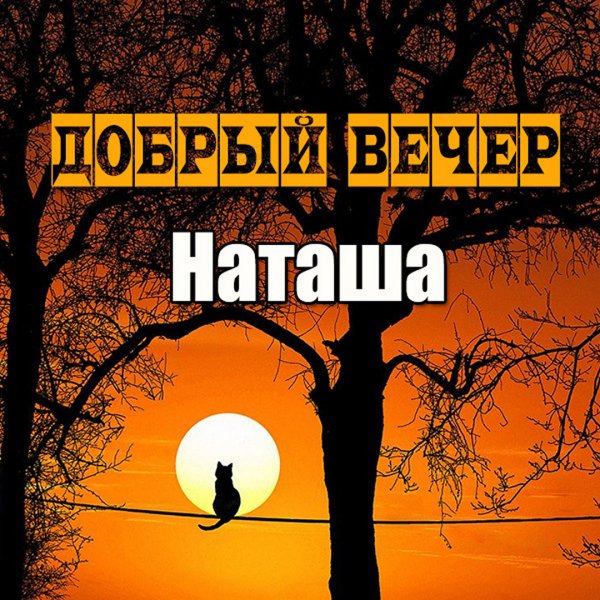Добрый вечер Наташа картинки