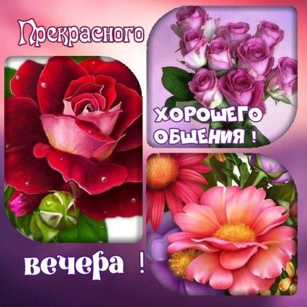 Добрый вечер Наташенька